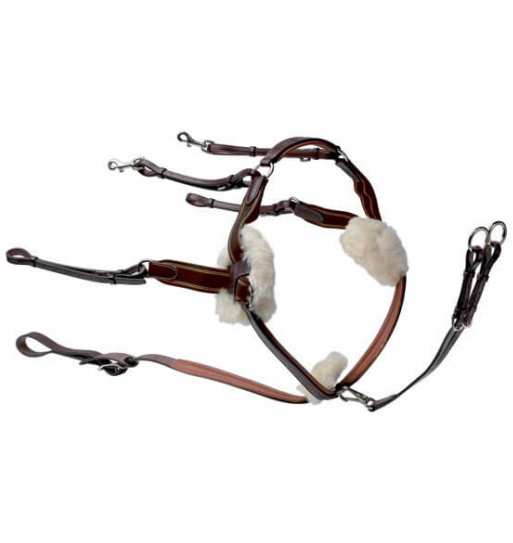 Breastplate five point 